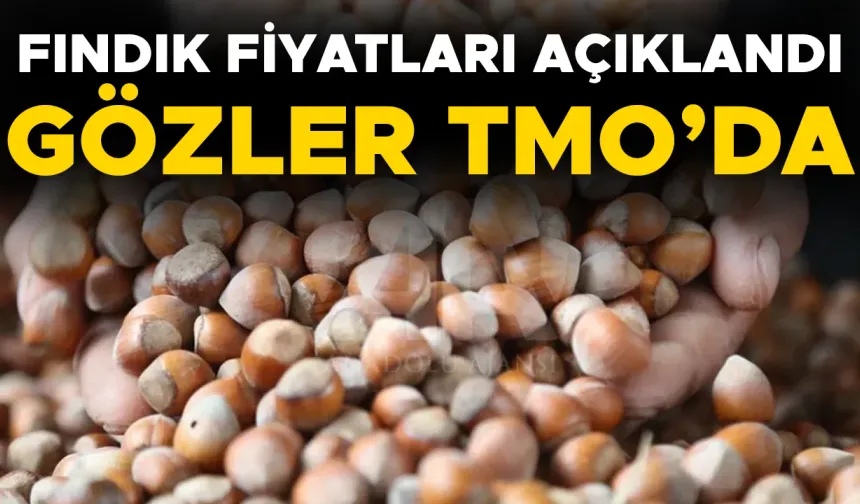FINDIK ALIMI İÇİN O TARİHTEN İTİBAREN RANDEVU ALINABİLECEK