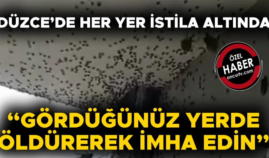 MÜCADELE ÇALIŞMALARI DÖRT KOLDAN SÜRÜYOR