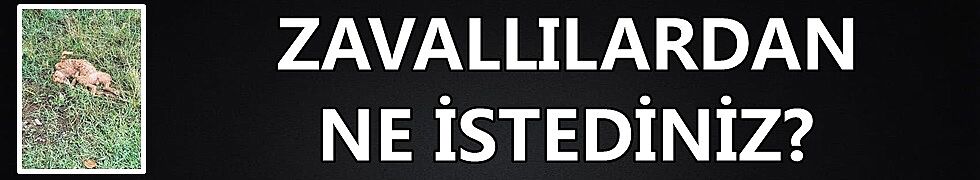 İNSANLIKTAN NASİBİNİ ALMAYANLARIN SON VUKUATI YÜREKLERİ SIZLATTI