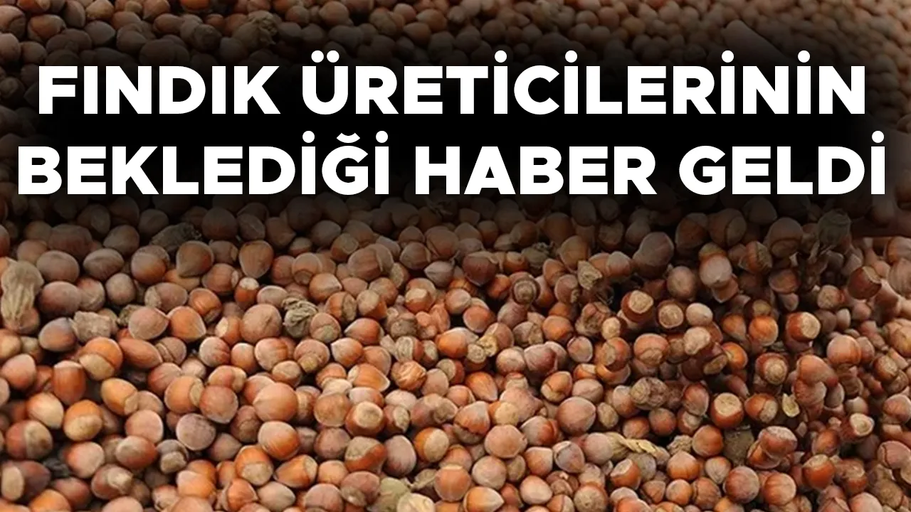 TARIM VE ORMAN BAKANLIĞI FINDIK FİYATLARINI AÇIKLADI