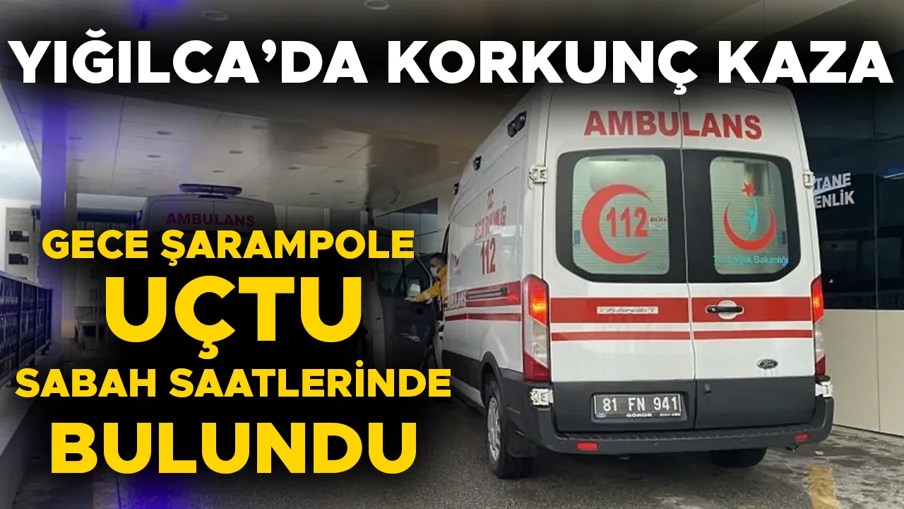 OTOMOBİL SÜRÜCÜSÜ AĞIR YARALANDI