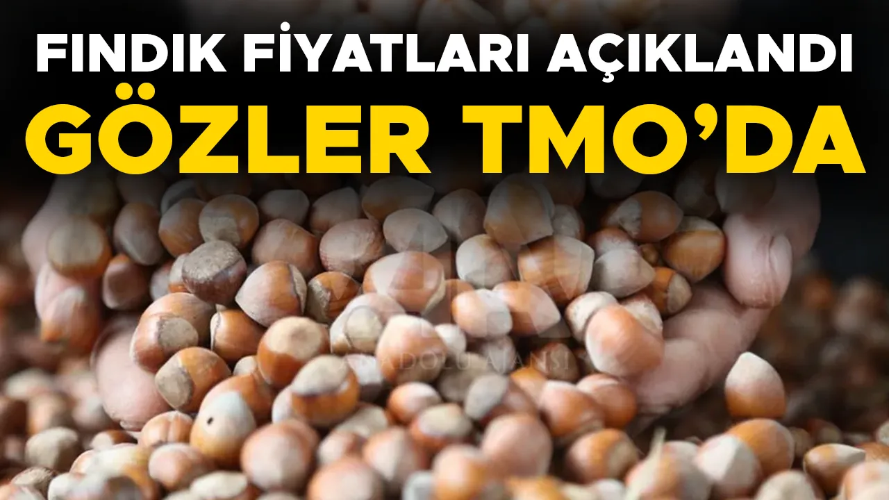 FINDIK ALIMI İÇİN O TARİHTEN İTİBAREN RANDEVU ALINABİLECEK